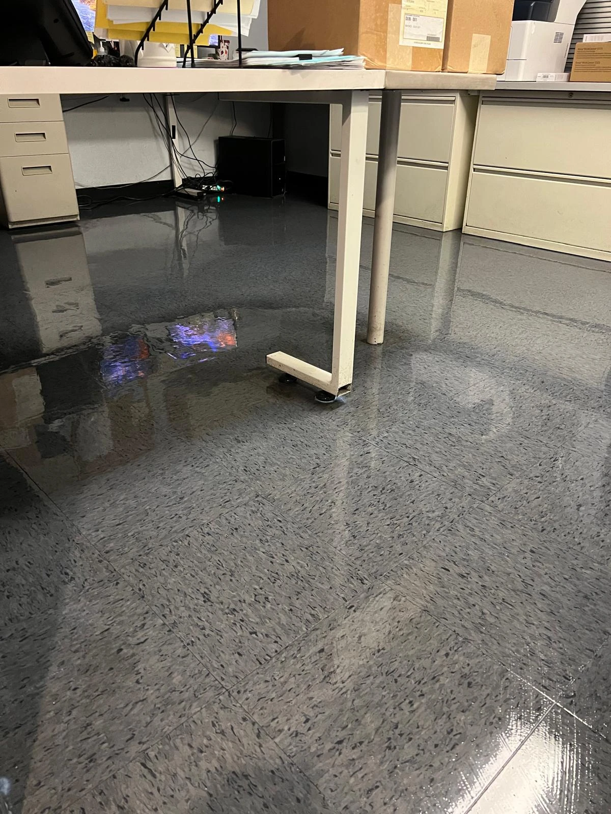 Hard Floor Care & Maintenance in Buena Park, CA -- photo 10 by Zeus Cleaning Service
